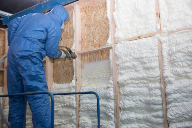 Best Blown-In Insulation  in Albany, WI